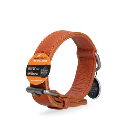 Collier Pro en Cuir pour Chien