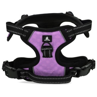 Harnais Anti-Traction pour Chien