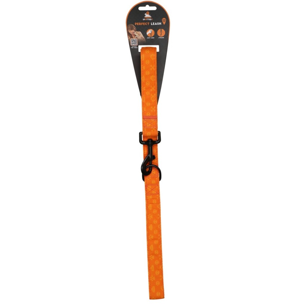 Spotted! Pro Perfect Laisse 120cm - Laisse Premium Élégante Chien