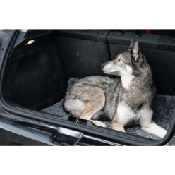Royal Dry Tapis d'Entrée - Tapis Absorbant Pattes Mouillées Chien