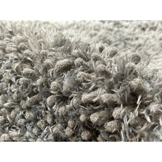 Royal Dry Tapis d'Entrée - Tapis Absorbant Pattes Mouillées Chien