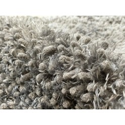 Royal Dry Tapis d'Entrée - Tapis Absorbant Pattes Mouillées Chien
