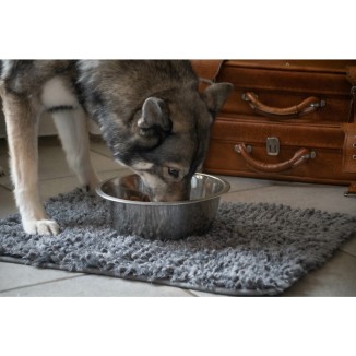 Tapis de protection Royal Dry pour chiens et chats - Absorption efficace