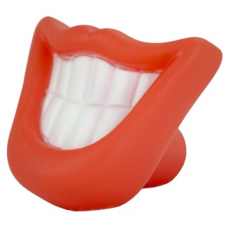 Jouet Amusant pour Chien Pawise Moustache Rigolote - 15.5x15.5x6 cm