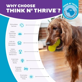 Jouet résistant pour chien: Outward Hound Double Tuff M Bleu