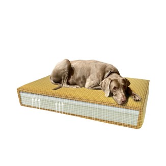 Coussin Orthopédique Madison Velours Vert S pour Chien