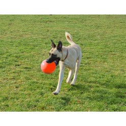 Jouet rebondissant pour chien Jolly Bounce-n Play Myrtille S
