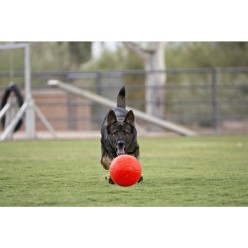 Ballon de football Jolly Orange XXS - Qualité Jolly Pets