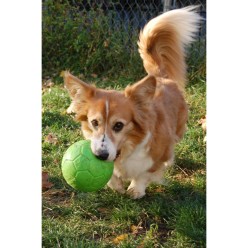 Ballon de football Jolly Orange XXS - Qualité Jolly Pets