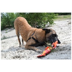 Hozies Sammy Rayures S pour Chien: Style et Confort