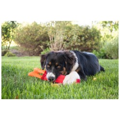 Hozies Sammy Rayures S pour Chien: Style et Confort