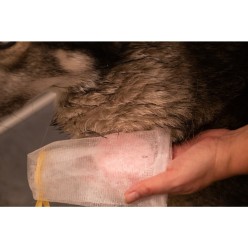 Shampooing solide lavande Groomers Secret 60g - Chien