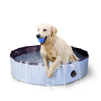 Piscine pour chien CoolPets Splash - Rafraîchissement estival