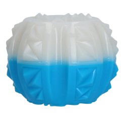 Rafraîchisseur Coolpets pour Chien 1 st