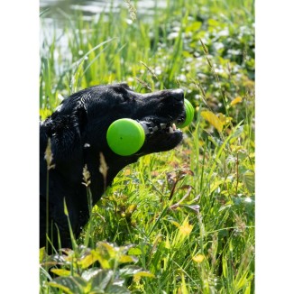 Bâton de lancer Comets rose pour chien - Taille S