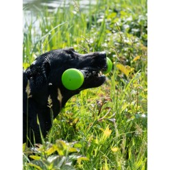 Bâton de lancer Comets rose pour chien - Taille S