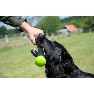 Bâton de lancer Comets rose pour chien - Taille S