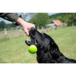 Bâton de lancer Comets rose pour chien - Taille S