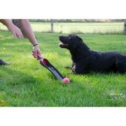 Dog Comets Star Launcher - Lanceur Étoiles Spatial Chien