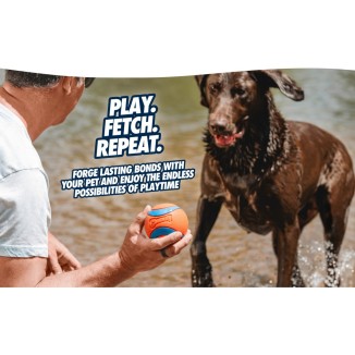 Chuckit! Ultra Squeaker Ball S (1-pack) - Jouet pour chien interactif