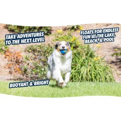 Chuckit! Ultra Squeaker Ball S (1-pack) - Jouet pour chien interactif