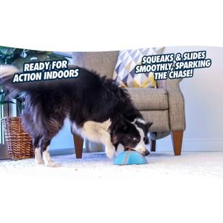 Chuckit! Indoor Super Slider - Jouet innovant pour chien