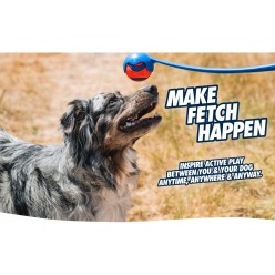 Chuckit! Lanceur Max Glow Pro - Jouet pour Chien Effet Lumineux