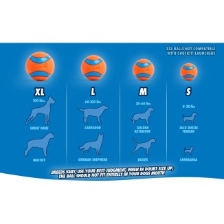 Chuckit! Lanceur Max Glow Pro - Jouet pour Chien Effet Lumineux