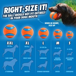Lanceur de balle Chuckit! Junior pour chiens, dimensions 52x9x6.5 cm