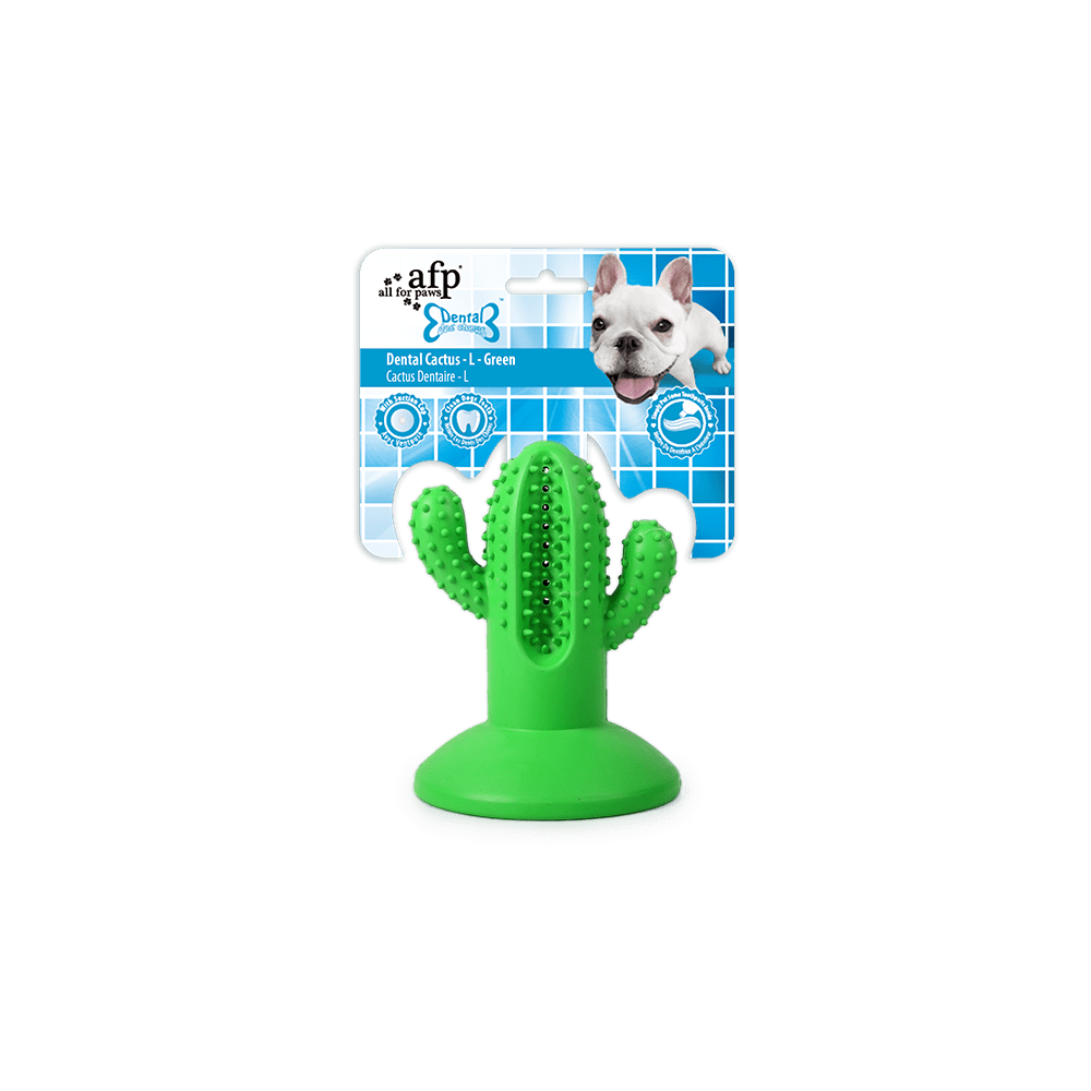 AFP Dental Chews - Cactus Dentaire M Orange pour Chien