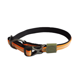AFP Off Street - Collier pour chien Olive Vert M