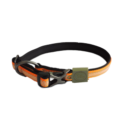 AFP Off Street - Collier pour chien Olive Vert M