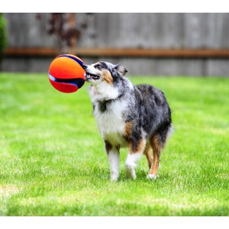 Jouet pour chien Chuckit! Kick Fetch S - Amusement garanti