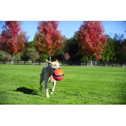 Jouet pour chien Chuckit! Kick Fetch S - Amusement garanti