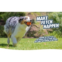 Chuckit Fetch Ball - Balle Résistante Jeu Rapport Chien
