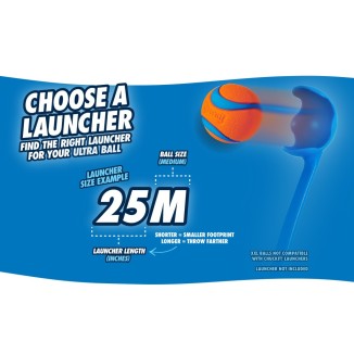 Lot de 2 balles Chuckit! Fetch Ball S pour chiens