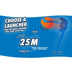 Lot de 2 balles Chuckit! Fetch Ball S pour chiens