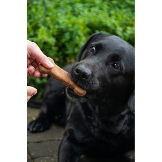 Bugbone Entraîneur Snack 10 kg en vrac pour Chien