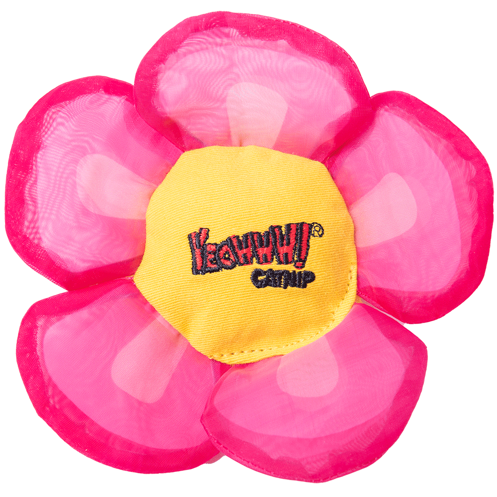 Jouet pour chat Yeowww! Hauts de fleurs Daisy Bleu