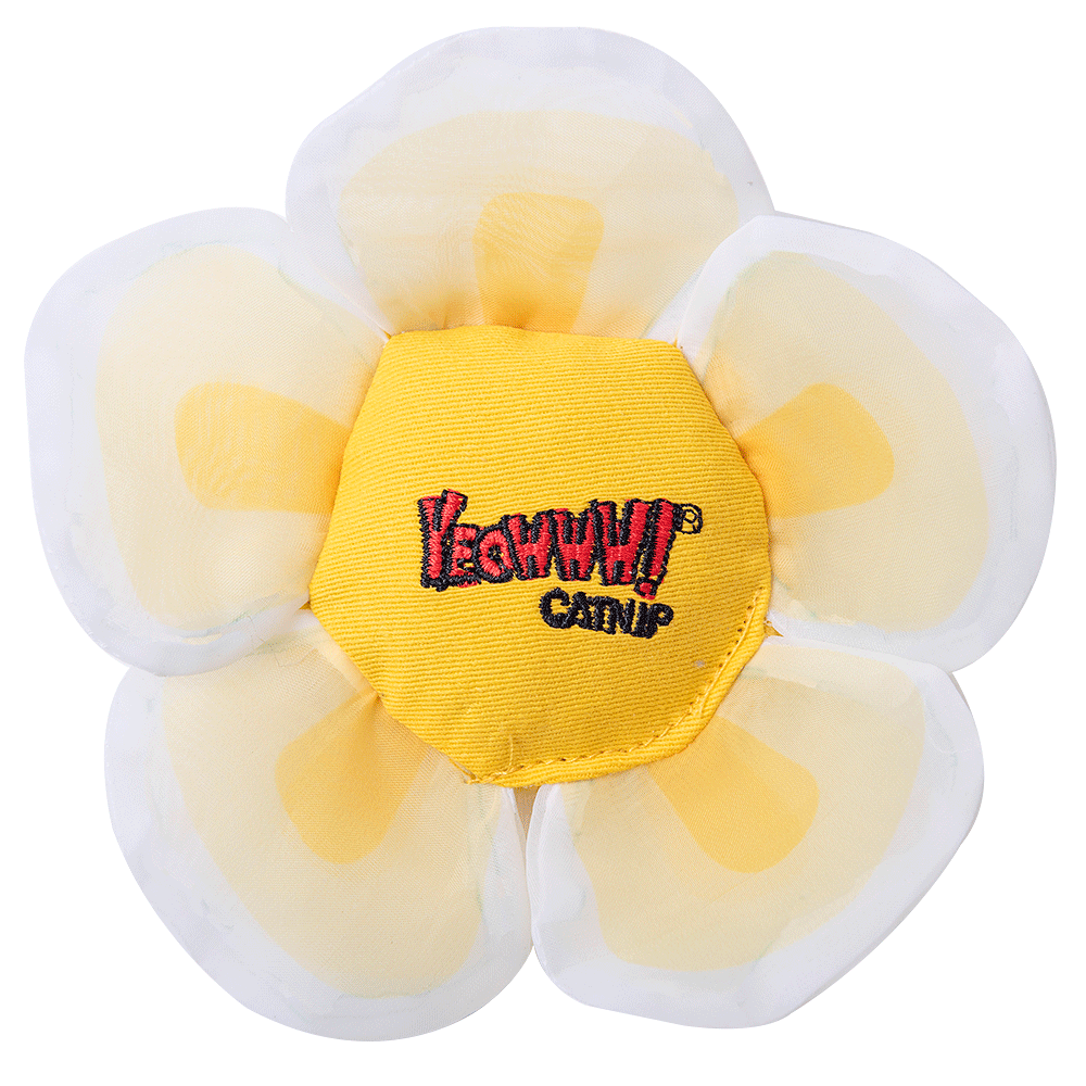 Jouet pour chat Yeowww! Hauts de fleurs Daisy Bleu