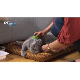 Brosse pour chat Pet+Me poils courts - Bleu, made in CH