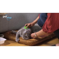 Brosse pour chat Pet+Me poils courts - Bleu, made in CH