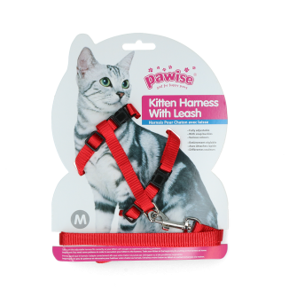 Harnais et Laisse Chatons Pawise Rouge/Bleu Taille S