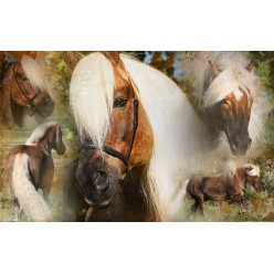 Excellent Horse Hi Gloss Spray et recharge | Professionnel
