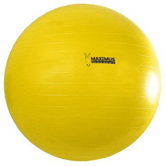 Maximus Power Play Ball | Professionnel