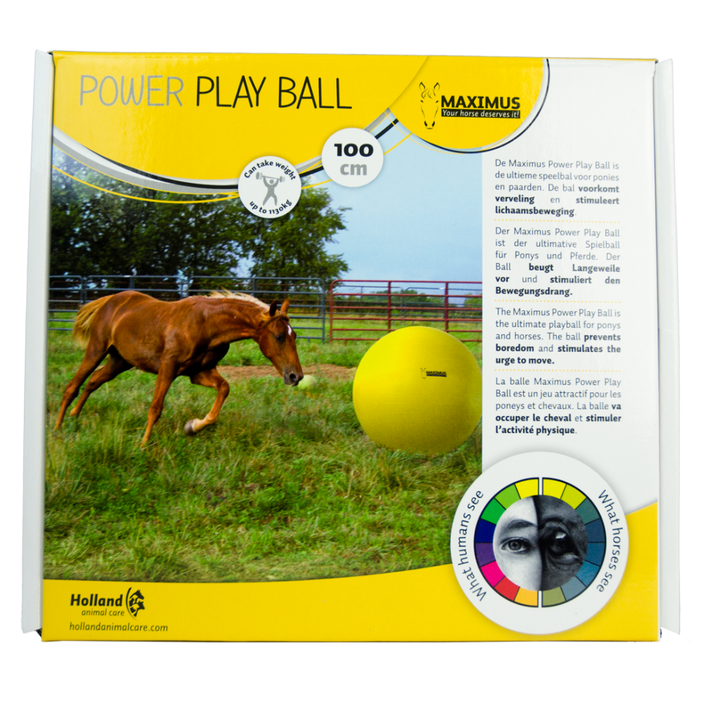 Ballon d'exercice Maximus Power Play 65 cm: idéal pour les chevaux !