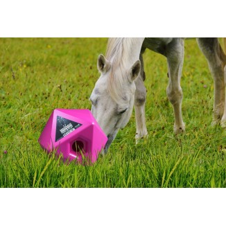 Maximus Feed & Play Bleu pour Cheval - Jeu et nourriture en un!