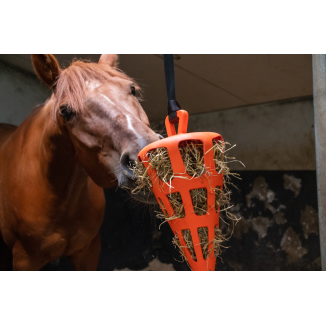 Foin Ralentisseur Fun & Flex Carotte Verte Hay Slow Feeder