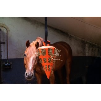 Foin Ralentisseur Fun & Flex Carotte Verte Hay Slow Feeder
