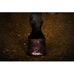 Vernis à Sabots Brillant Excellent Horse Argent 150 ml